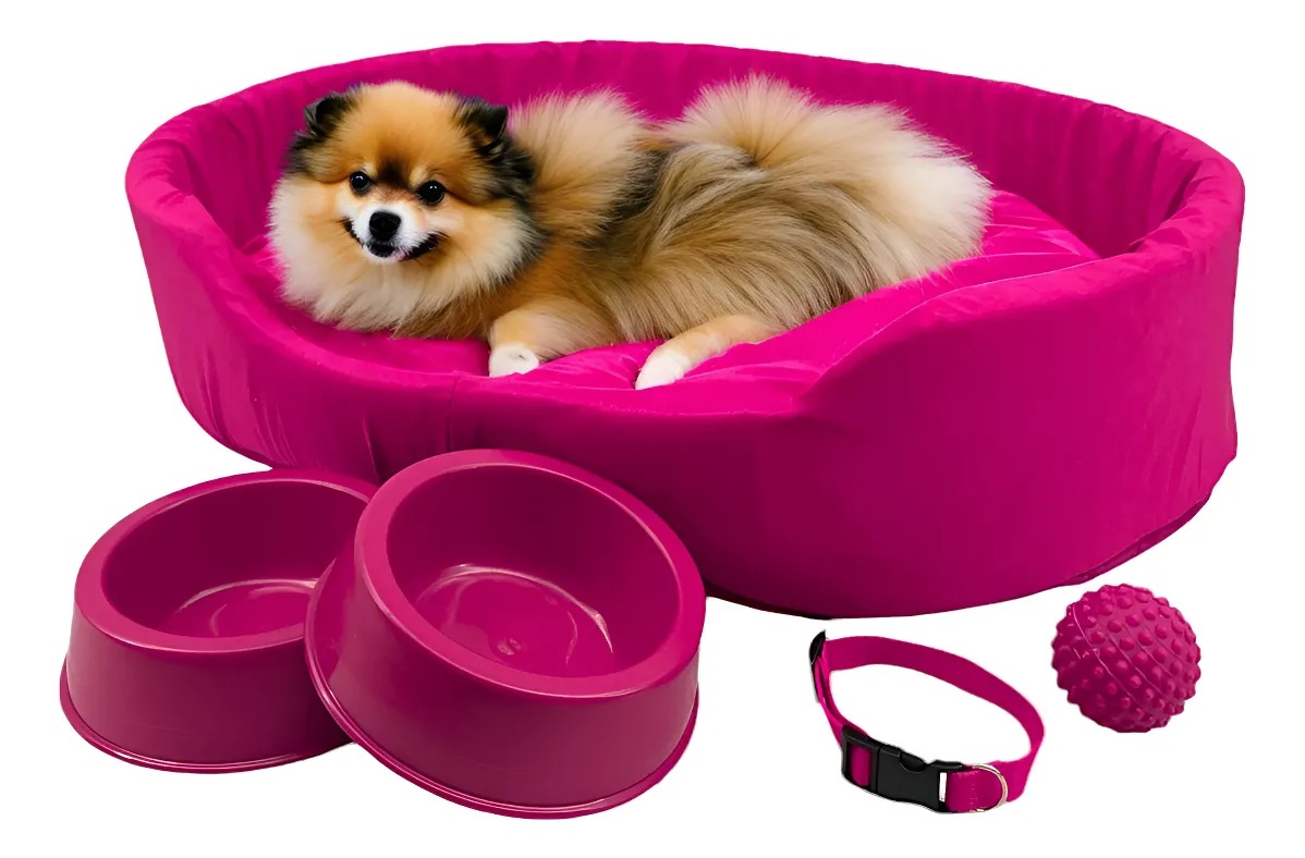 Kit Cama Europa Pet Pequeno Potes Água Ração Coleira Bolinha